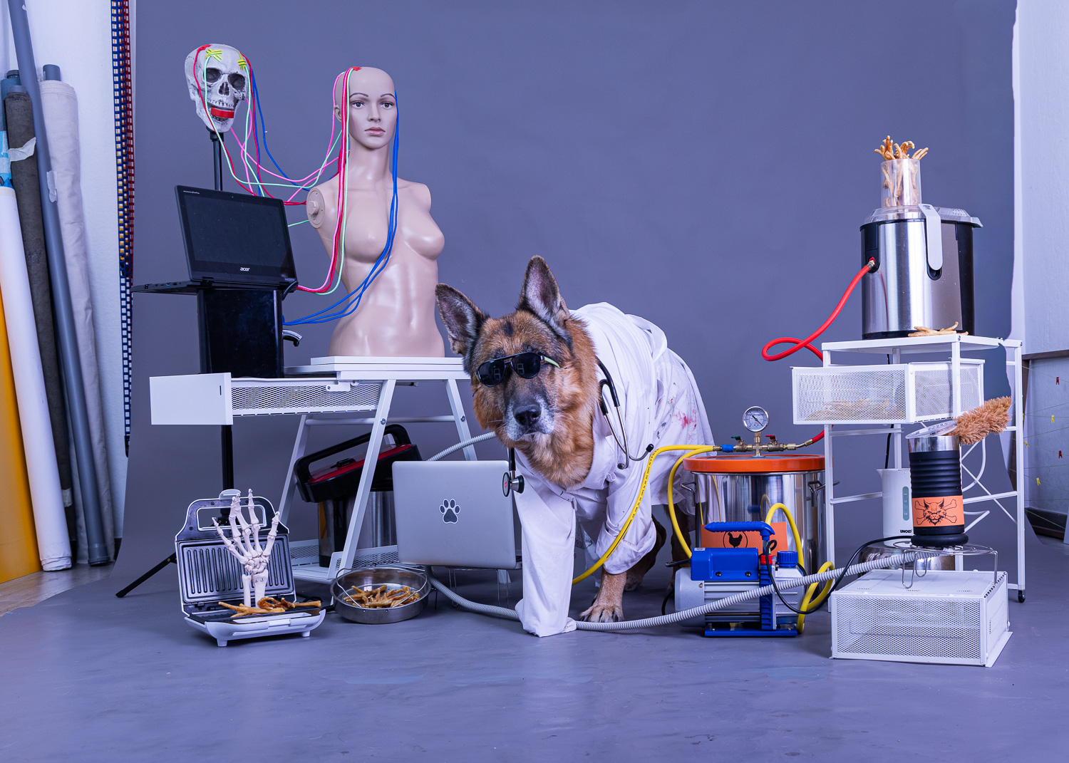 Harvey beim Fotoshooting im Studio